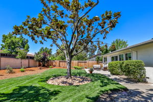 543 Banyan Cir, Walnut Creek, CA 94598, US Photo 26