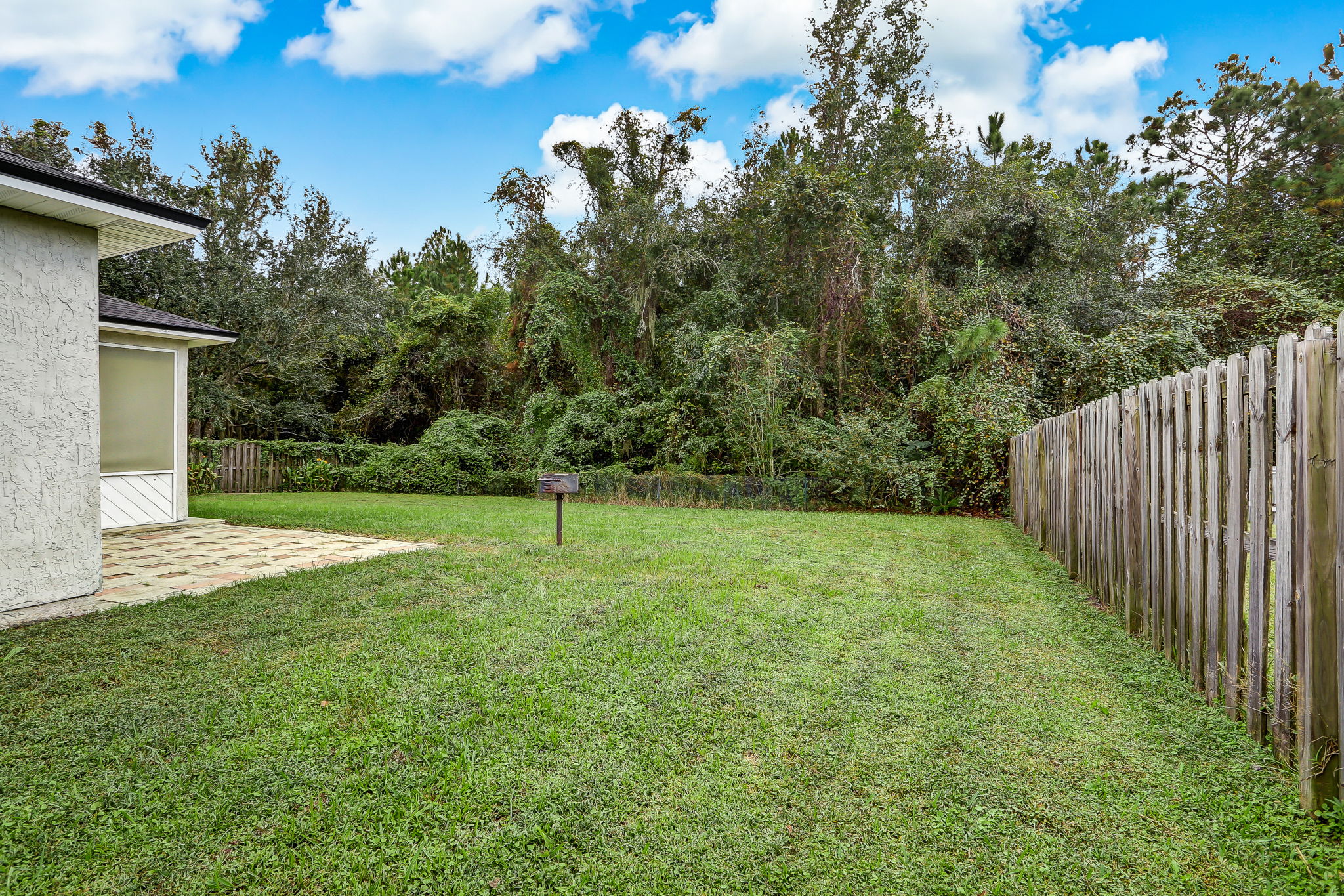 Backyard