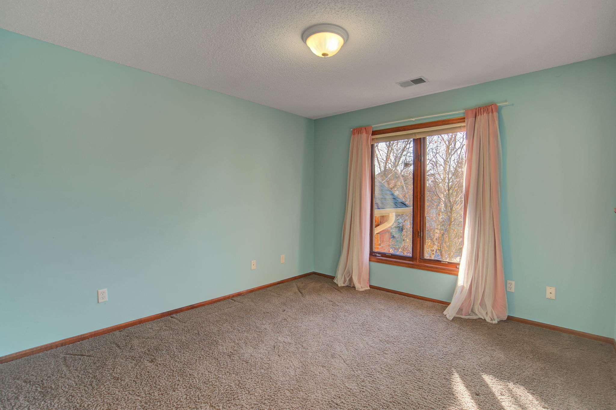 17030 41st Pl N, Plymouth, MN 55446, US Photo 33