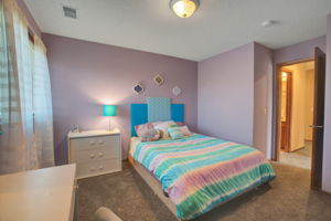 17030 41st Pl N, Plymouth, MN 55446, US Photo 38