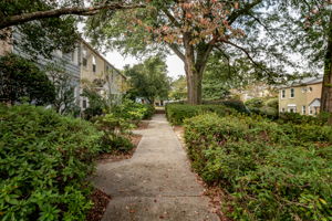 Community Courtyard