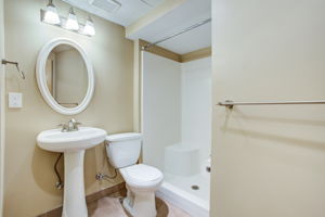 Lower Level - Bathroom