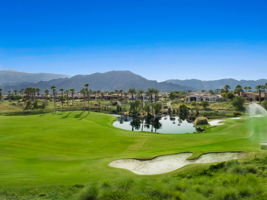 52551 Via Savona, La Quinta, CA 92253, US Photo 25