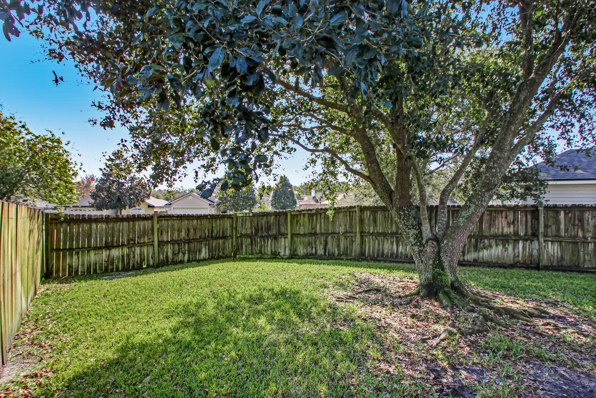 Backyard