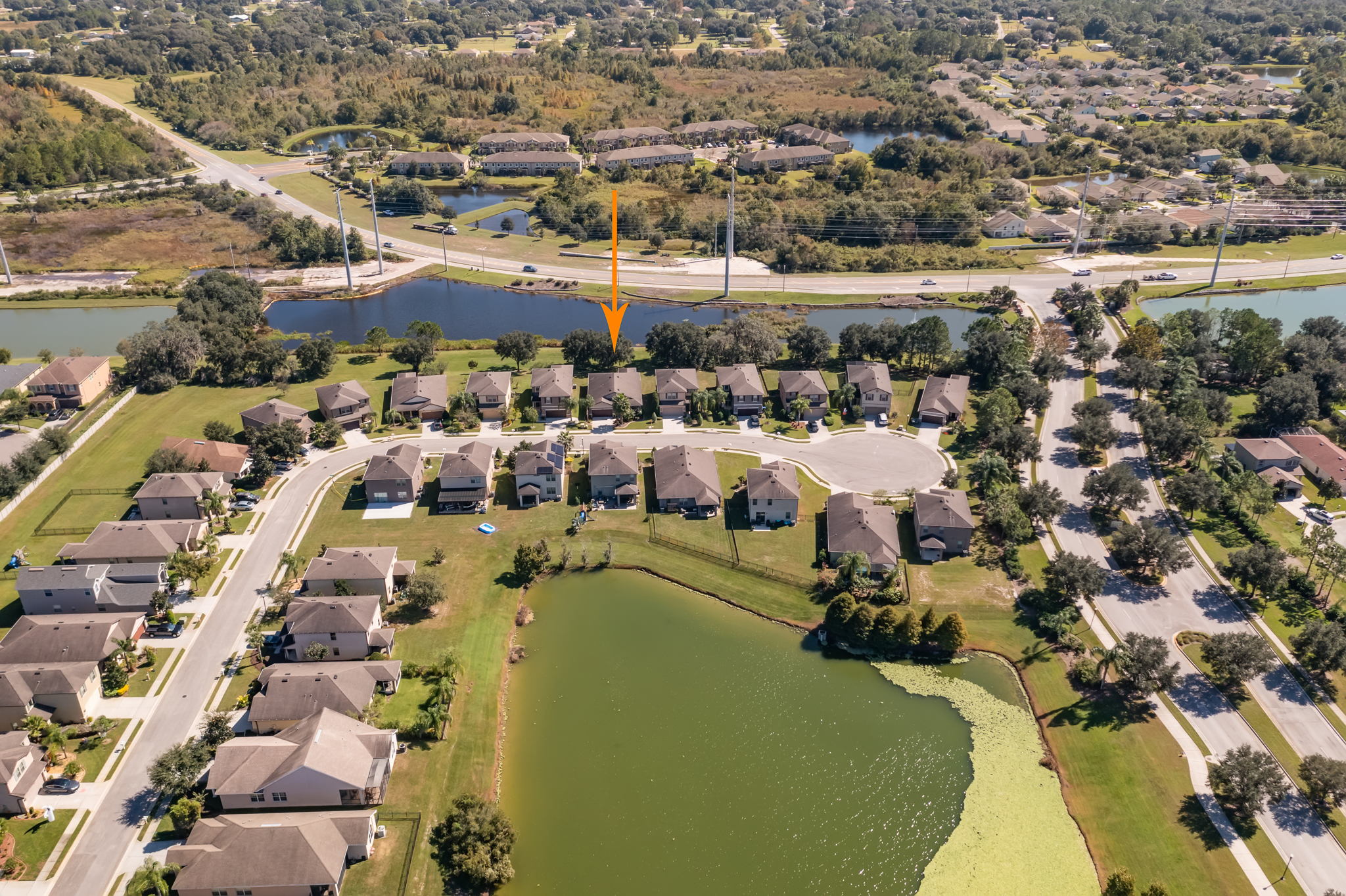 4412 O' Rourke Ct, Wesley Chapel, FL 33543, USA Photo 66