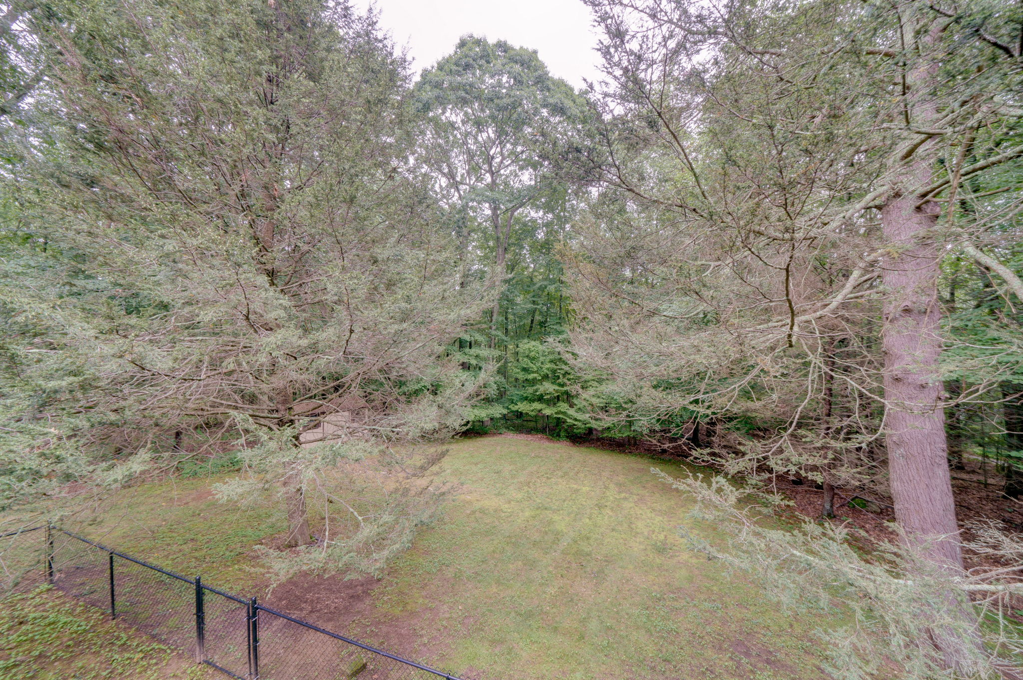 71 Charles Ln, Storrs, CT 06268, USA Photo 56