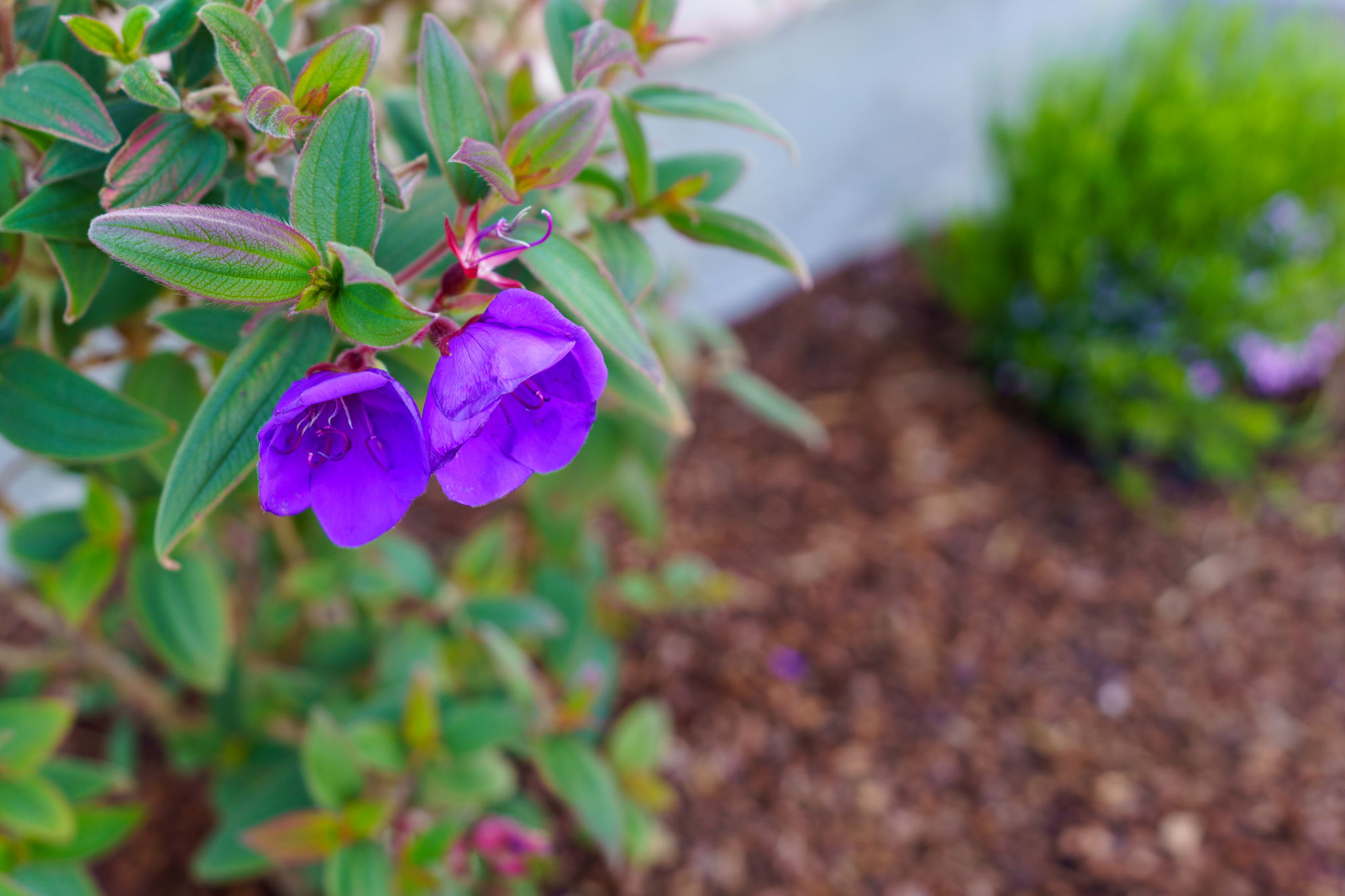 3558 Southridge Dr, Santa Rosa, CA 95403, US Photo 50