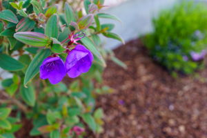 3558 Southridge Dr, Santa Rosa, CA 95403, US Photo 49