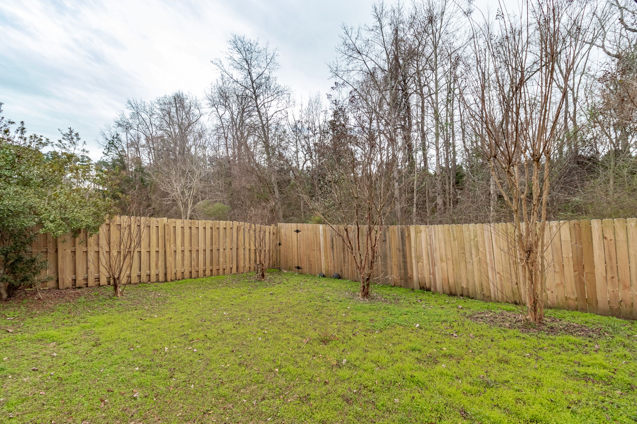Private Back Yard