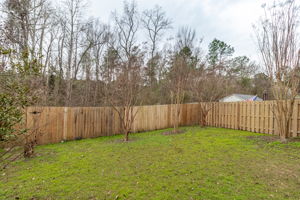Private Back Yard