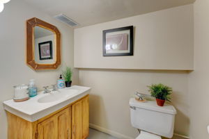 Lower Level - Bathroom