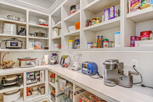 Large Hidden Pantry