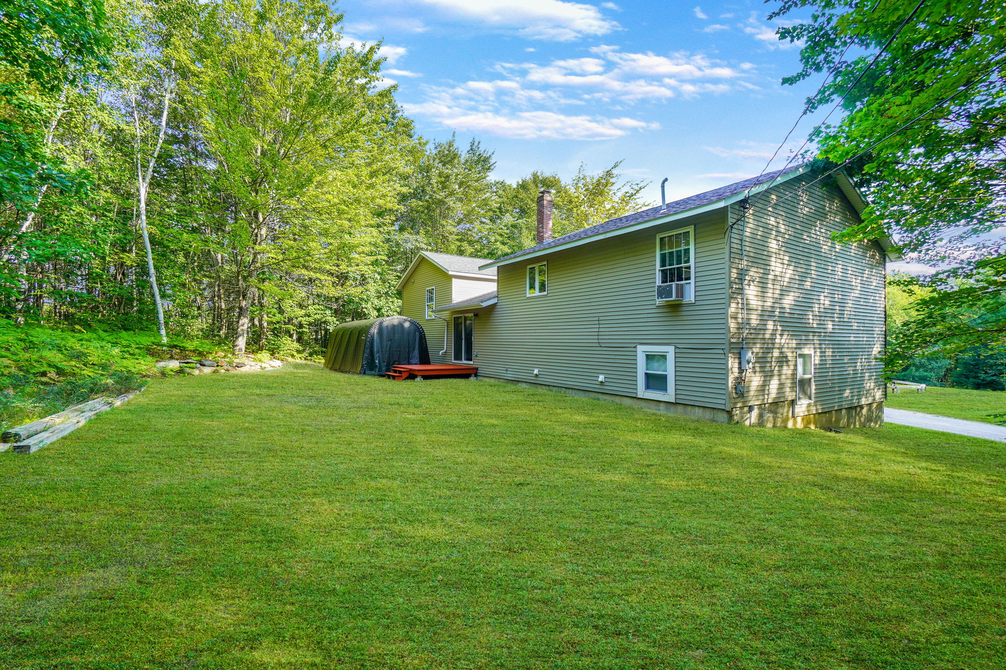 Back yard
