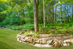 Side Yard