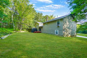 Back yard