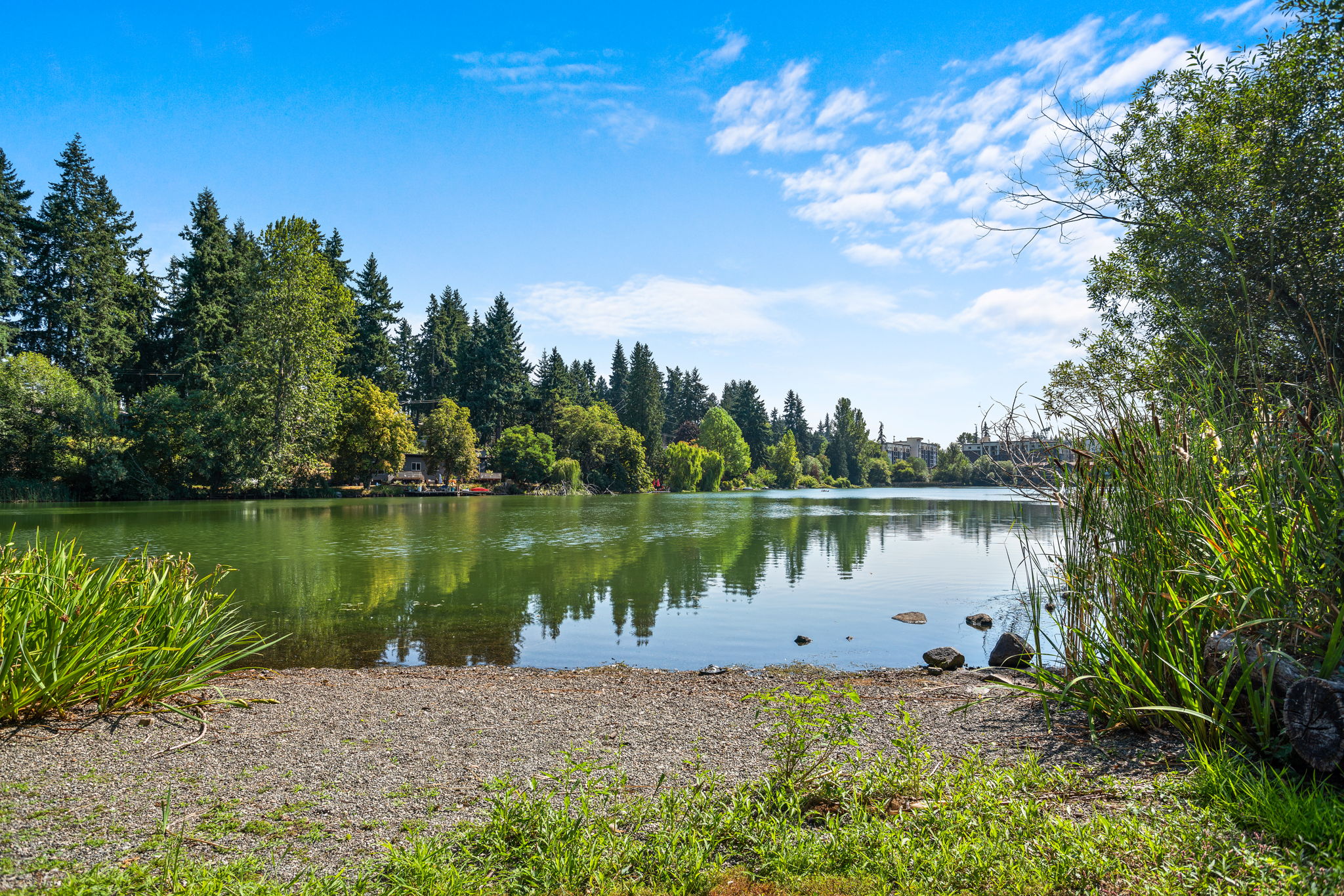 1409 N 200th St, Shoreline, WA 98133, USA Photo 39