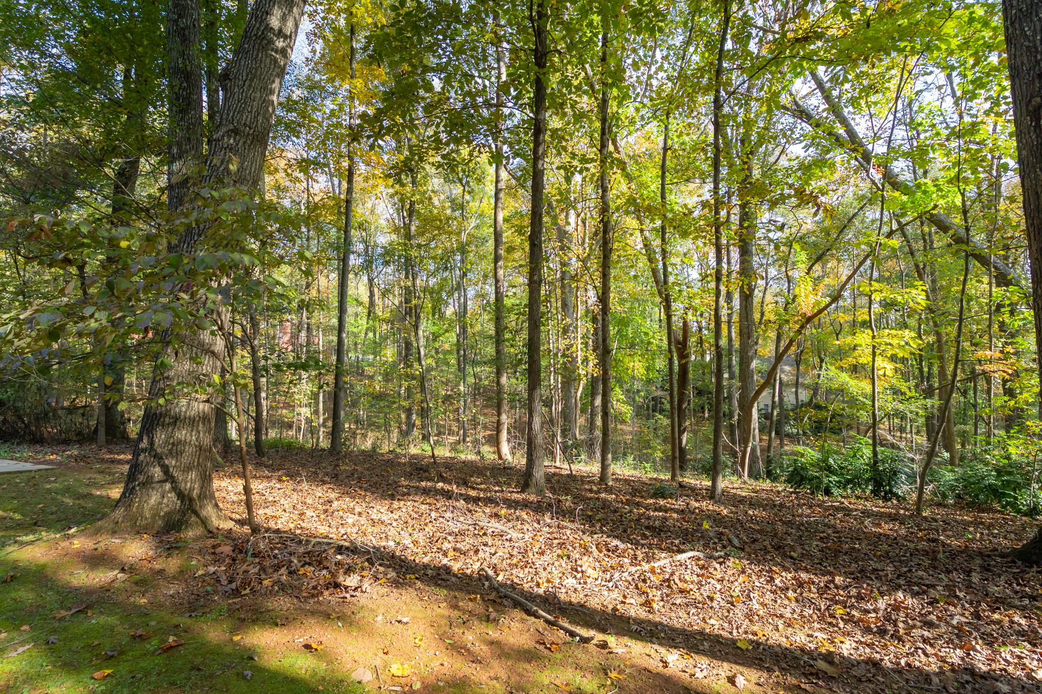 151 Hermitage Ct, Powder Springs, GA 30127, USA Photo 47