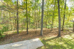 151 Hermitage Ct, Powder Springs, GA 30127, USA Photo 45