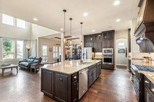 205 Mia Dr, Austin, TX 78738, US Photo 9