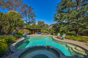 2441 Tice Valley Blvd, Walnut Creek, CA 94595, USA Photo 48