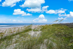 Beach View