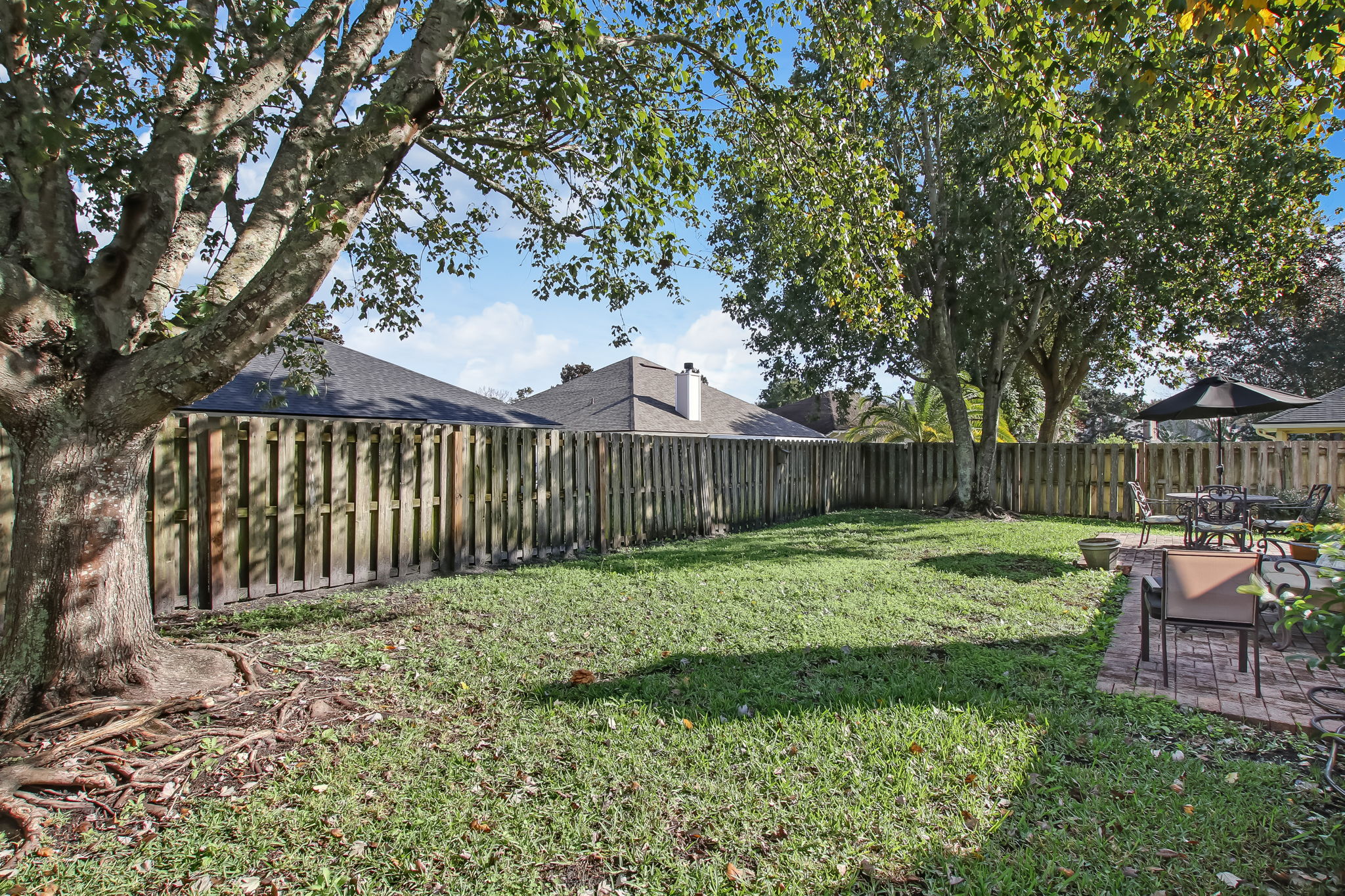 Back Yard