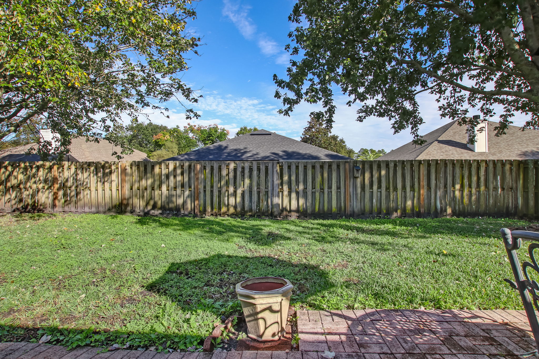 Back Yard