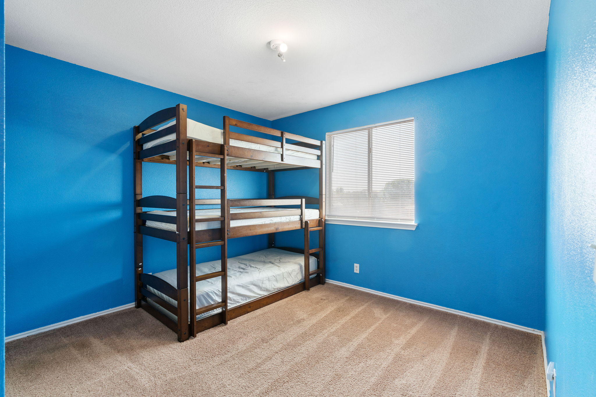 429 Atlantis, Kyle, TX 78640, USA Photo 18