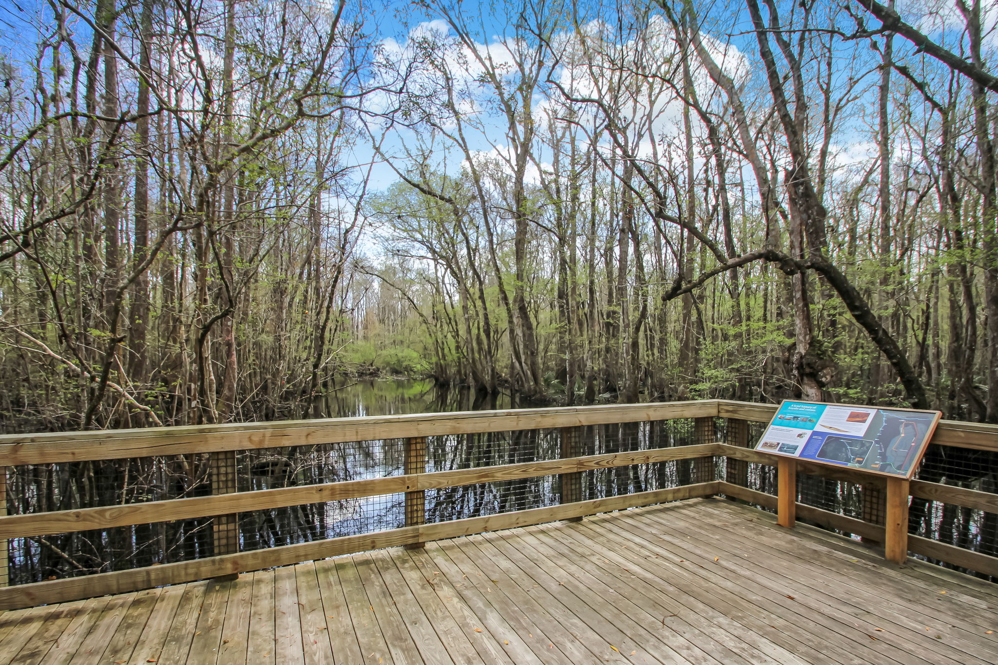 Kayak Launch