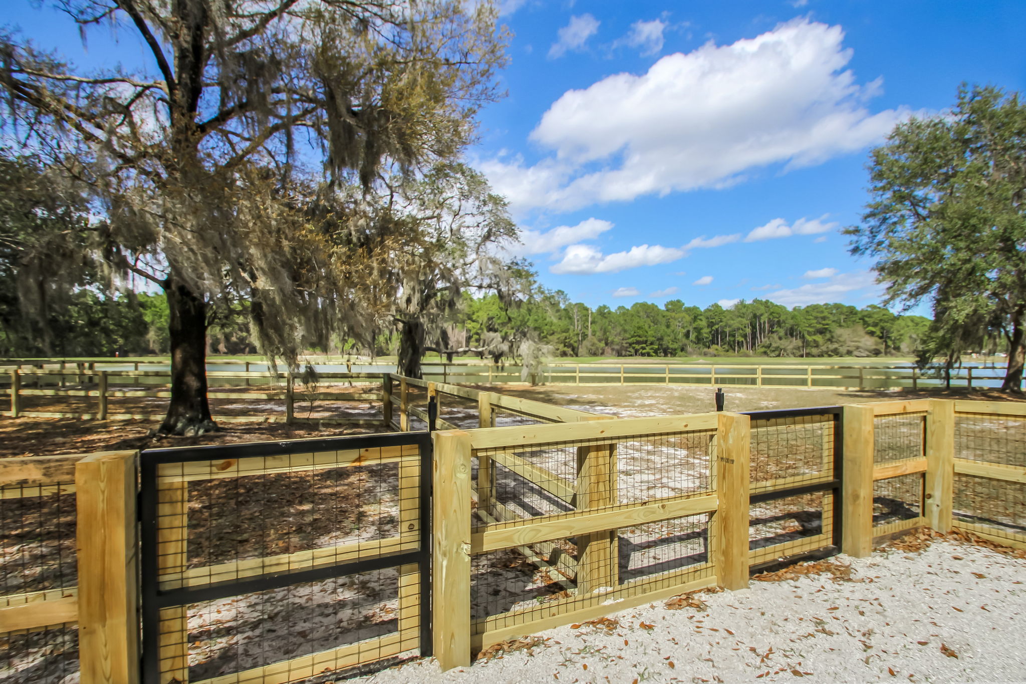 Trailmark Amenities - Dog Run