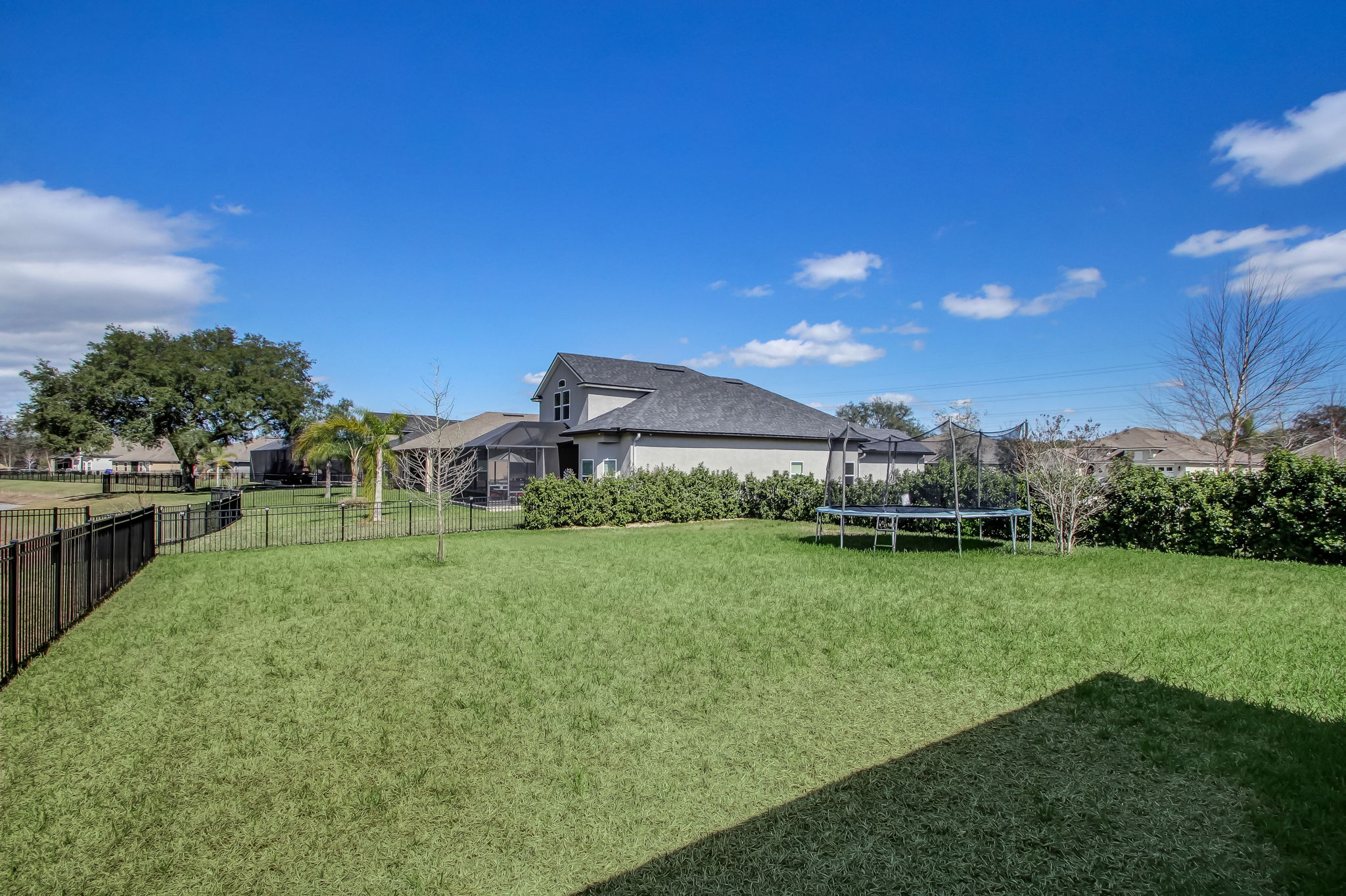 Large Back Yard