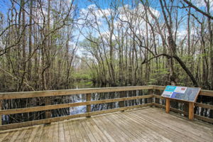 Kayak Launch