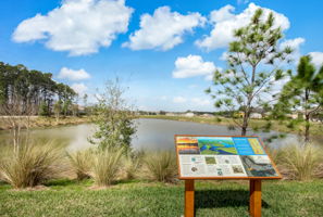 Trailmark Amenities