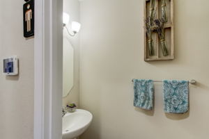 Downstairs Powder Room