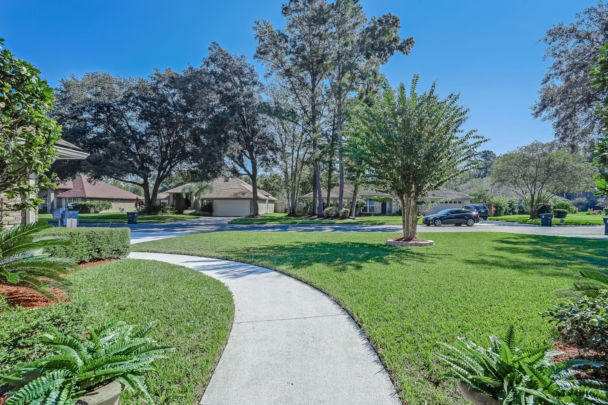 Front Walkway