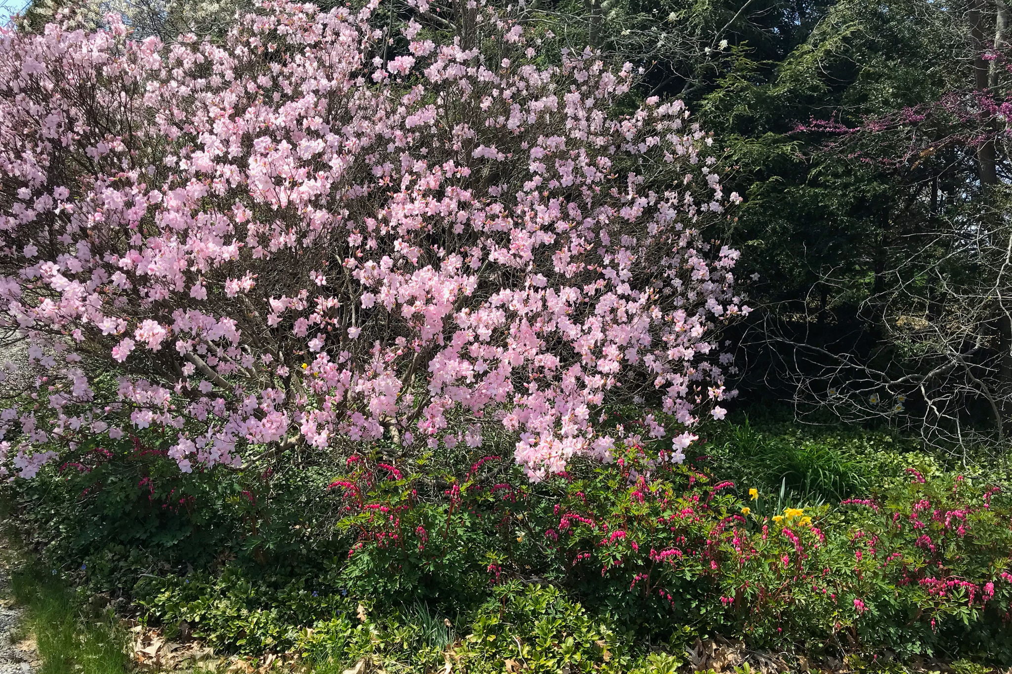 10 Dunbar Rd, Quaker Hill, CT 06375, USA Photo 36