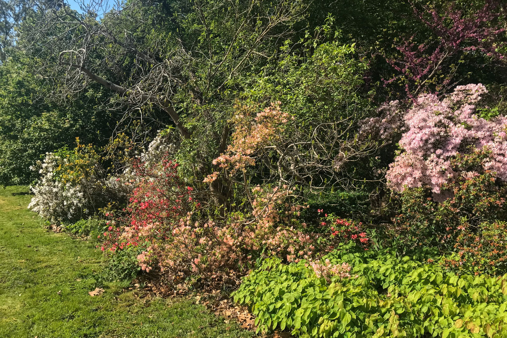 10 Dunbar Rd, Quaker Hill, CT 06375, USA Photo 50