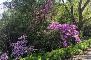 10 Dunbar Rd, Quaker Hill, CT 06375, USA Photo 48