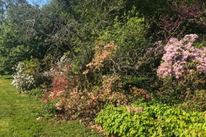 10 Dunbar Rd, Quaker Hill, CT 06375, USA Photo 49