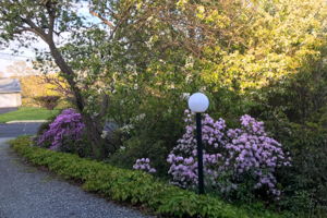 10 Dunbar Rd, Quaker Hill, CT 06375, USA Photo 2