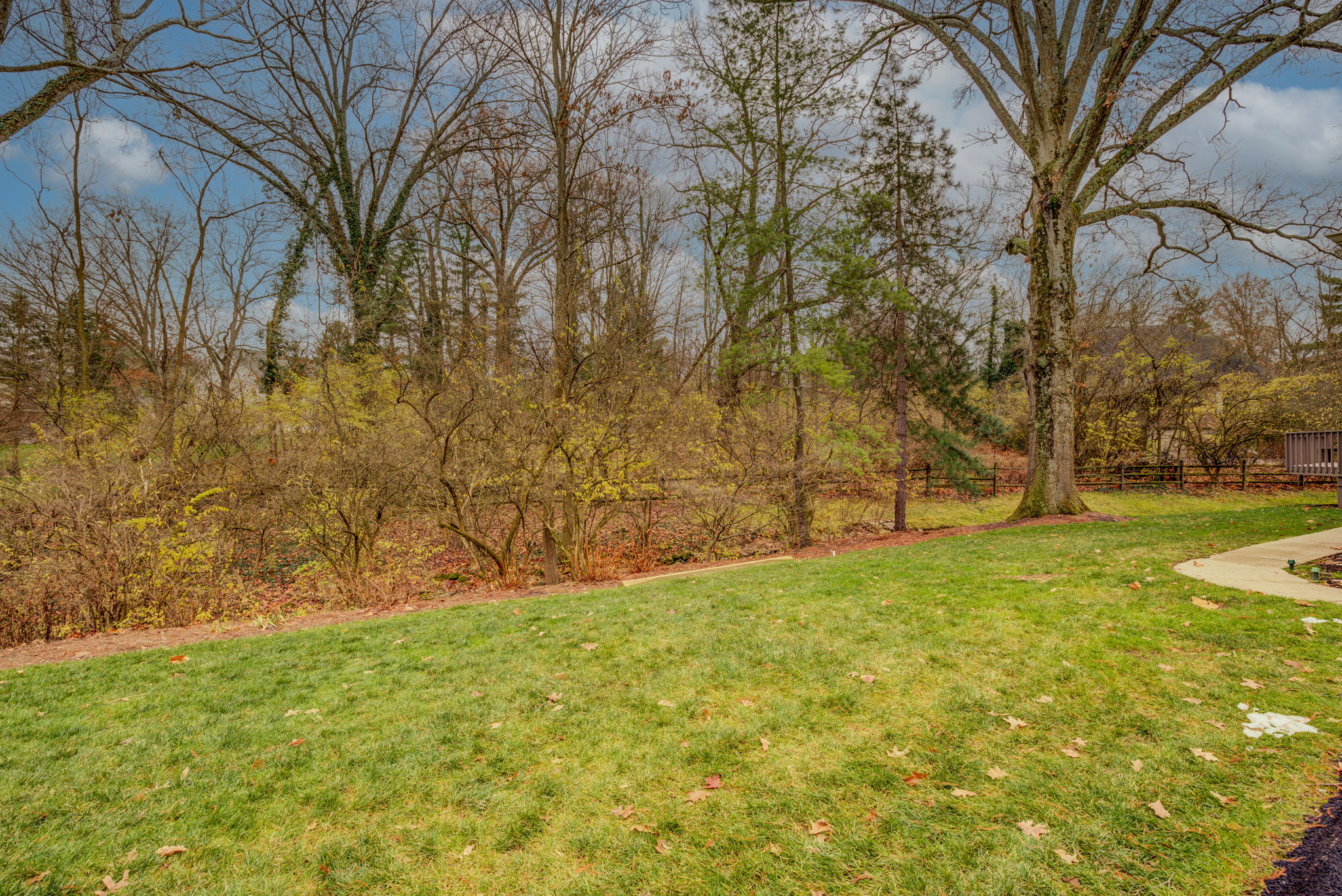 Back Yard