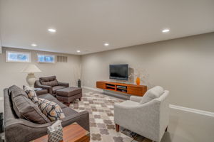 Lower Level - Main Living Area