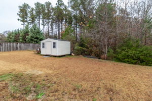 Back Yard/ Storage