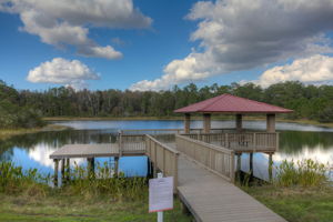 19301 Lonesome Pine Dr, Land O' Lakes, FL 34638, US Photo 64