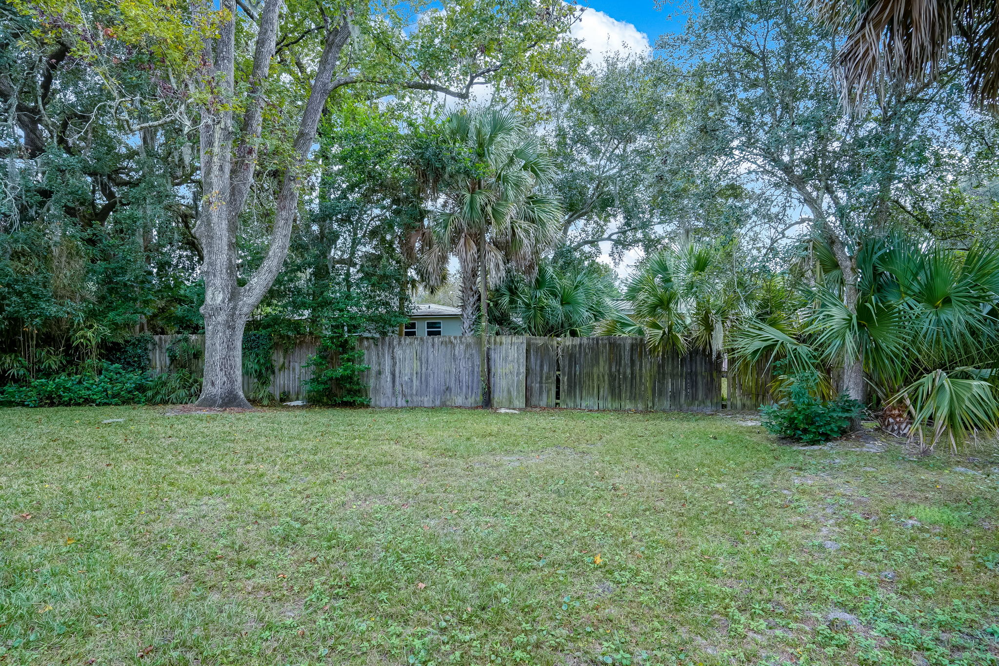 Back Yard