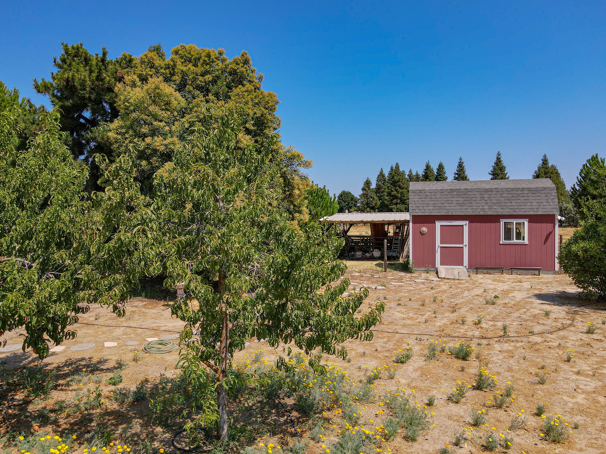 5330 Mulberry Ave, Atwater, CA 95301, US Photo 68