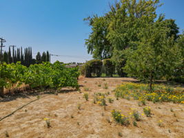 5330 Mulberry Ave, Atwater, CA 95301, US Photo 66
