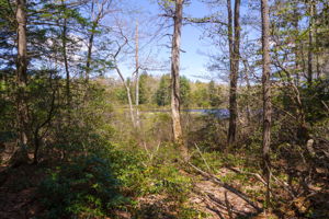 930 Buckley Hwy, Union, CT 06076, US Photo 40