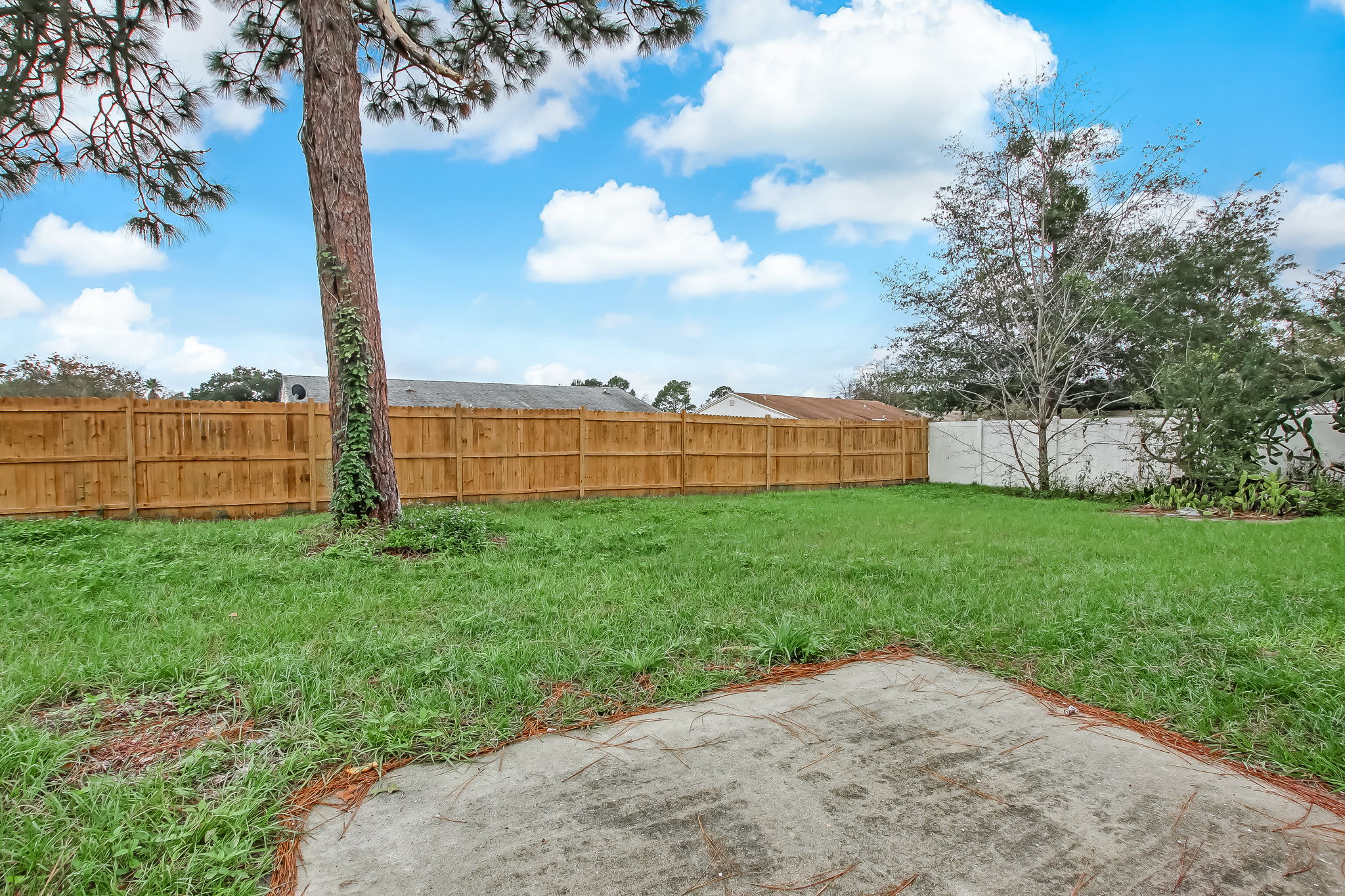 Backyard