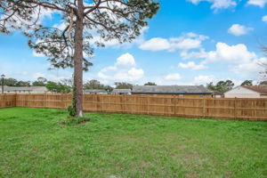 Backyard